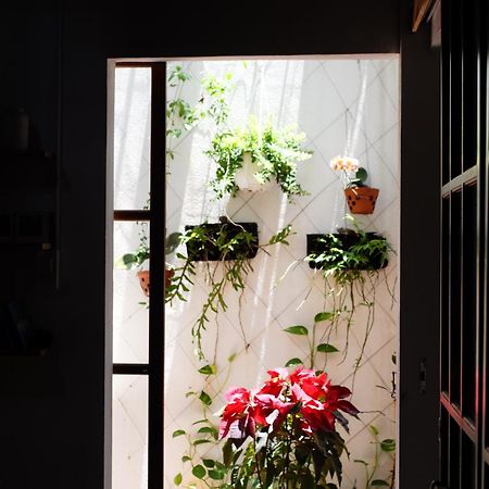 a-mâze house Hue Exterior foto